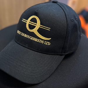 Quest baseball cap (20.69 + VAT)